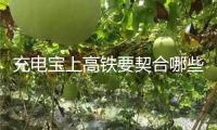 充電寶上高鐵要契合哪些條件？國鐵集團回應