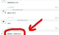 佩通坦被暫停總理職務 表示將努力證明自己