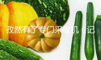 孜然有了專門采收機(jī)（記錄中國） 試驗結(jié)果顯示，效率比傳統(tǒng)人工提升近百倍