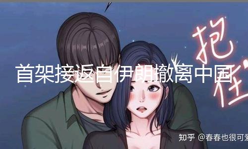 【吃瓜有料】首架接返自伊朗撤離中國公民暫時航班抵京